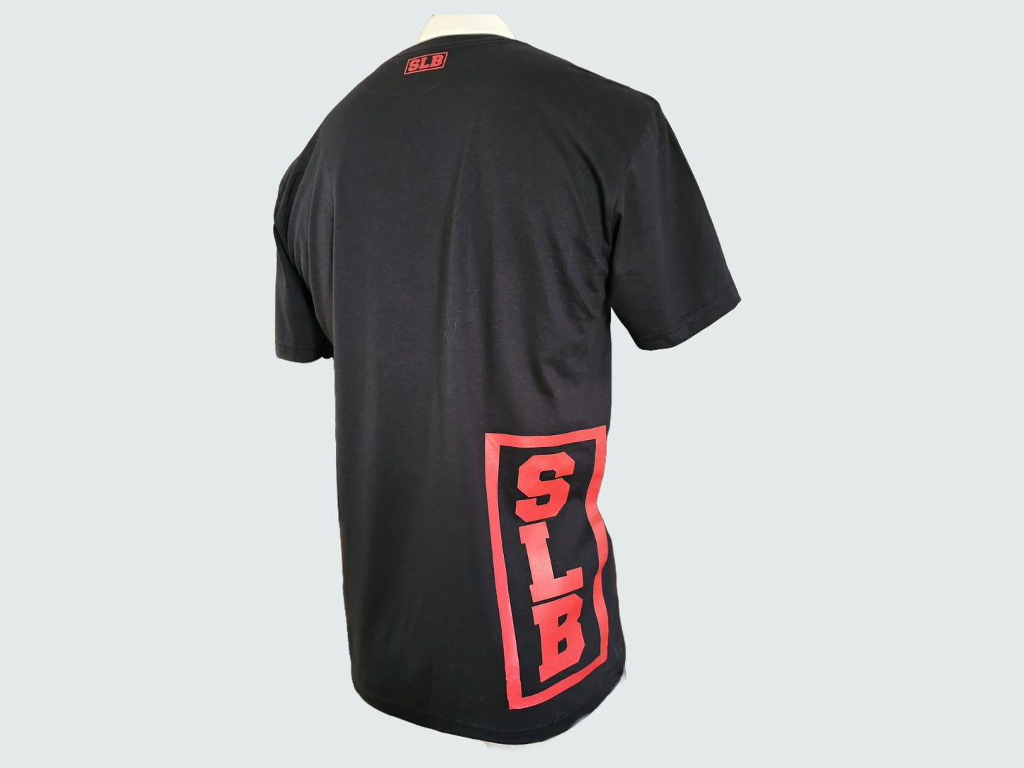Can I Pray For You SLB Shirt