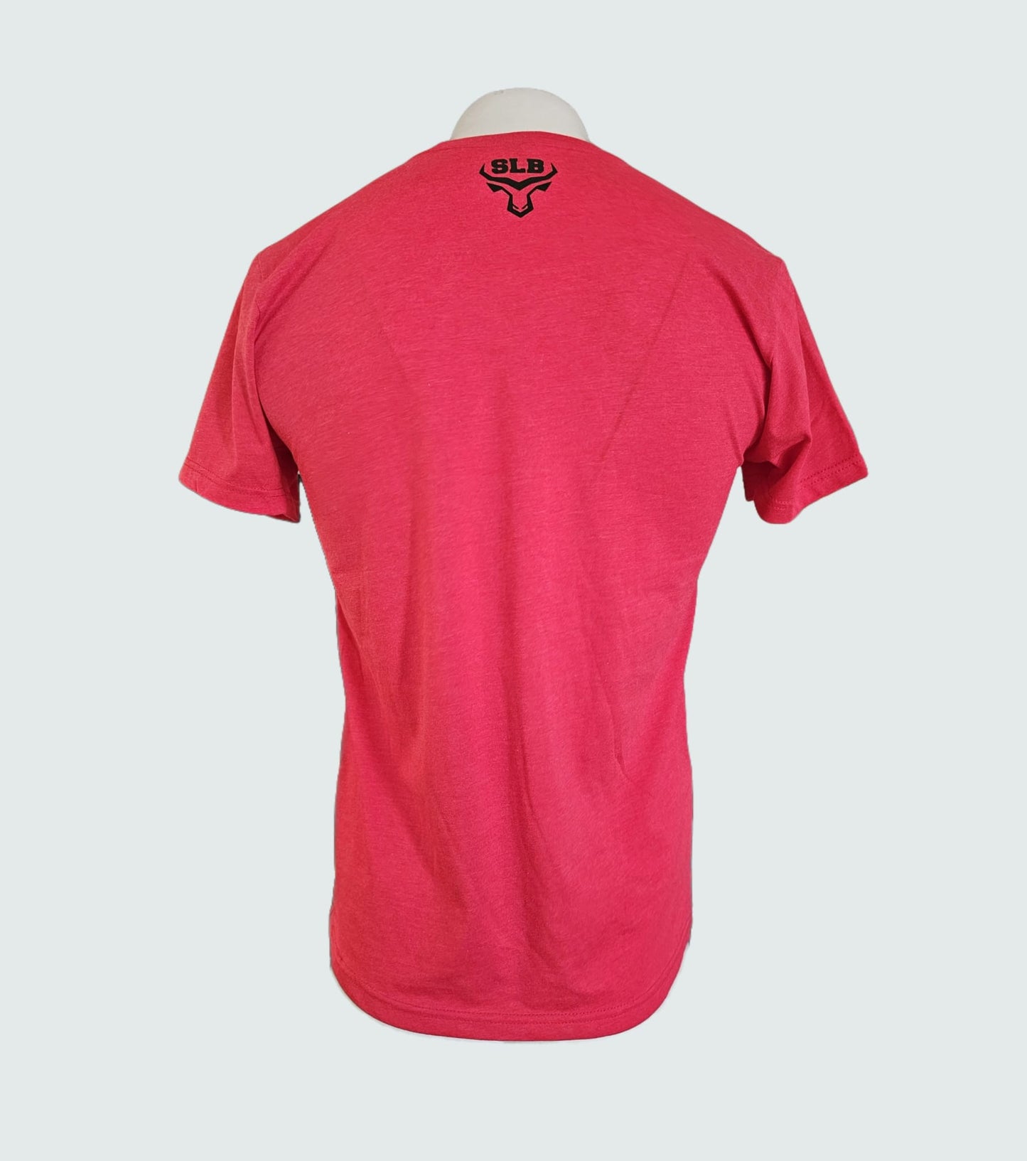 The Devil Made Me Do It But God Brought Me Through It T Shirt